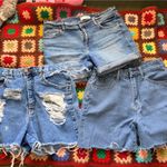 Halston Heritage Denim Short Bundle Photo 0