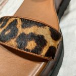 Michael Kors  MARLON CALF HAIR LEOPARD PRINT PLATFORMS Photo 7