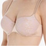 NWOT Empreinte “Melody” Molded Demi Cup Underwire Lace Bra, 42F (3D) Style #3886 Tan Size undefined Photo 1