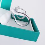 Sofia James NY Earring Set New Silver Photo 2