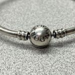 Pandora Sterling Silver Bangle Bracelet Cat Charm Safety Chain Clasp Photo 4