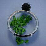 Sterling Silver Trendy Women's Ring With Black Cluster Accents in Size 8 Photo 9