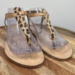 Sophia Milano  Flat Thong Sandals Animal Print Size 8.5 Italy Leather Ankle Strap Photo 0