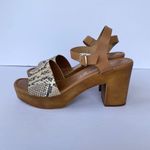 Anthropologie  Seychelles Jump For Joy Platform Sandal Beige Python Size 9 Photo 2
