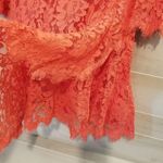 Eliza J {6} NWT Coral Lace Bell Sleeve Dress Photo 6