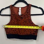 Stori by Katy Hearn Brown Spotted Sports Bra Size 8 Photo 3