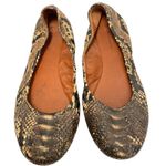BCBGeneration  Women’s 8 B Animal Print ballet flats Photo 1