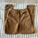 American Eagle Corduroy Pants Photo 0