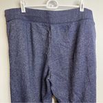 Aerie  Navy Blue Track Pants Photo 2