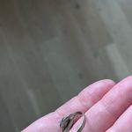 Vintage Faux Turquoise Silver Tone Ring Boho Southwest Pinky Size Small Blue Photo 3