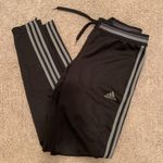 Adidas sweatpants Photo 0