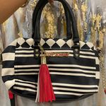 Betsey Johnson Striped Purse Photo 0