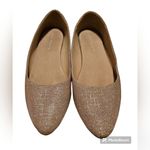 Kelly & Katie Pirassa Ballet Flat Photo 1