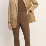 Everlane NEW! The Bi-Stretch Work Pant Cocoa Brown Side Zipper Size 4 Photo 0