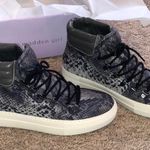 Madden Girl Snake Print Sneakers 8.5 Photo 1