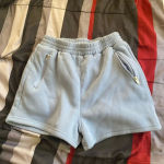 PacSun Blue Sweatshorts Photo 0