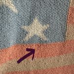 Lisa Robertson Women’s Sweater American Flag Pastel Color Size L Blue Size L Photo 8