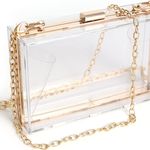Women Clear Purse Acrylic Clear Clutch Bag, Shoulder Handbag With Removable Gold Chain Strap Photo 0