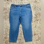 American Eagle  AE BFF Jegging size XL 20, 22, 24 extra short Luxe Stretch NEW Photo 1