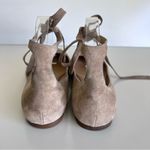 Gianvito Rossi  Suede Ankle-Wrap Ballerina Flat, Light Gray Photo 6