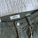 Kensie  Green Straight Leg Pants with Classic Design Photo 4