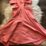 Zac Posen Zac  Megan Pink Cutout Fit & Flare Dress Photo 6
