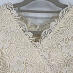 Lily Brown Lace Fit & Flare Dress Sz 0 Floral Crochet Romantic Glam Tulle Fairy Photo 2