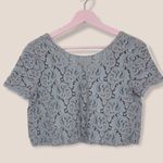 ZARA  crop top guipure lace pink gray short sleeve top Medium Photo 1