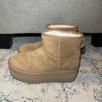 UGG  Classic Mini Platform Boots Chestnut Photo 7