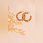 Pretty Little Thing NWT Real Gold Plated Twisted Classic Hoop Push Back Earrings Photo 2