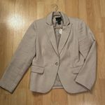 Cynthia Rowley NWT Snake Embossed Slate Blazer XL Photo 1