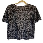 Laura Scott Grey and Black Short Sleeve Cropped Crewneck Shirt Size Large Photo 5