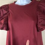 TCEC NWT Knit Dress with Poplin Ruffle Sleeve Photo 3