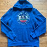 Fifth Sun California Republic Hoodie Photo 0
