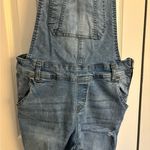 Wallflower Distressed Denim Overalls – Size Medium Blue Photo 5