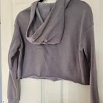 Newport Crop Hoodie Gray Photo 1