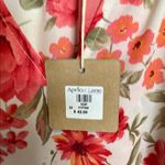 Blu Pepper Ruffled Red and Cream Blouse Size Small Photo 2