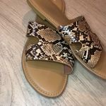 West Loop snake print sandals in size 9/10 Photo 3
