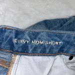 American Eagle Outfitters Curvy Mom Shorts Photo 1