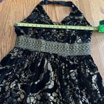 Cynthia Steffe Floral Print Burnout Velvet Halter Neck Midi Dress V Neck Midi 14 Photo 10