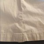 Bass‎ Skirt nwt Tan Size 6 Photo 5