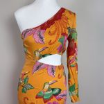 Farm Rio Farm‎ Rio One-Shoulder Maxi Dress Photo 2