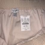 J.Crew Skirt Photo 2