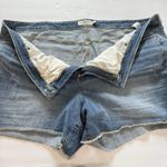 Torrid  Medium Wash 6‎ Inch Vintage Stretch High-Rise Denim Shorts Size 30 Photo 8
