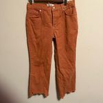 Free People  Maggie Mid-Rise Straight-Leg Jeans Rare Sienna Orange- Size 26 Photo 3