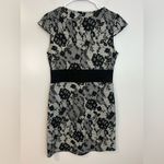 Collective Concepts NWT Black/White Lace Illusion Cap Sleeve Sheath Dress Large Photo 5