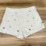 PacSun Eco Flower Power Embroidered Mom Shorts Women’s 27 Photo 3