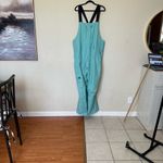 The North Face The North‎ Face Women's Wasabi Aqua Jumpsuit bib overalls snow ski NWOT size 1X Photo 4