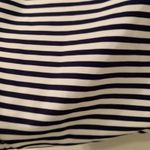 Xhilaration  Women's Navy Blue White Stripe Cheeky Bikini Bottom Size 2X Photo 15