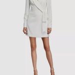 Jay Godfrey  Mini Dress Long Sleeve Business Casual  Photo 6